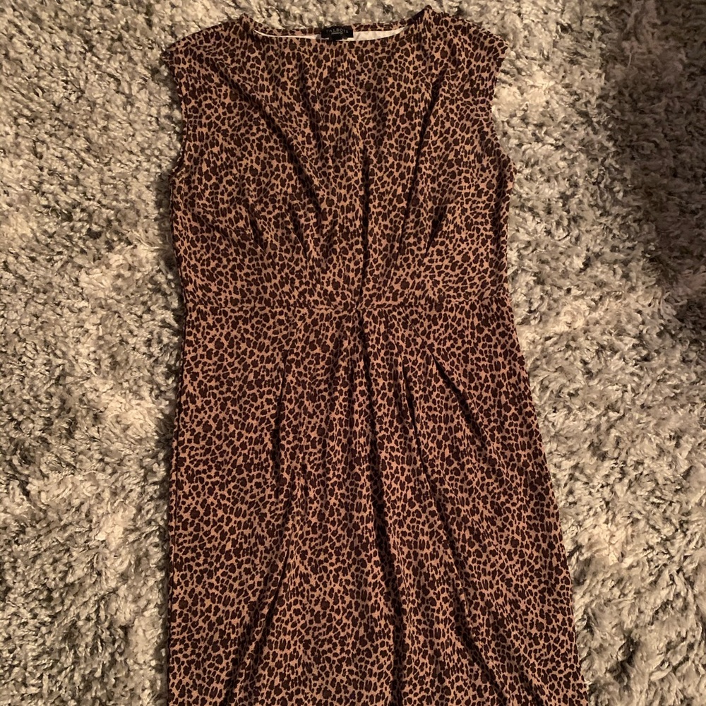Talbots leopard shift dress, NWOT